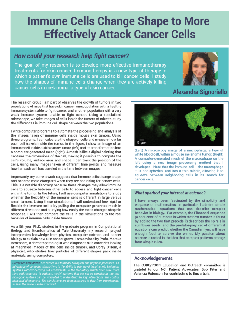 A resource on how Immune Cells Change Shape to More Effectively Attack Cancer Cells